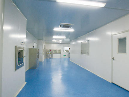 制藥廠凈化車間走廊 制藥廠凈化車間走廊